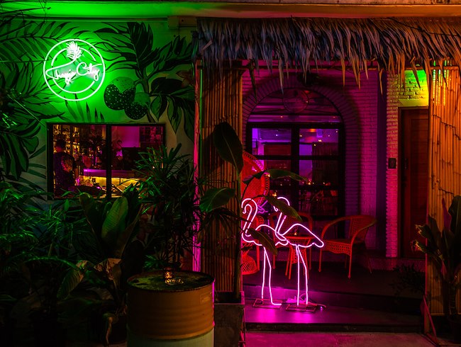 Tropic City